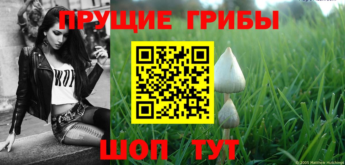 Галлюциногенные грибы GOLDEN TEACHER  Вход с VPN  Мариинск 